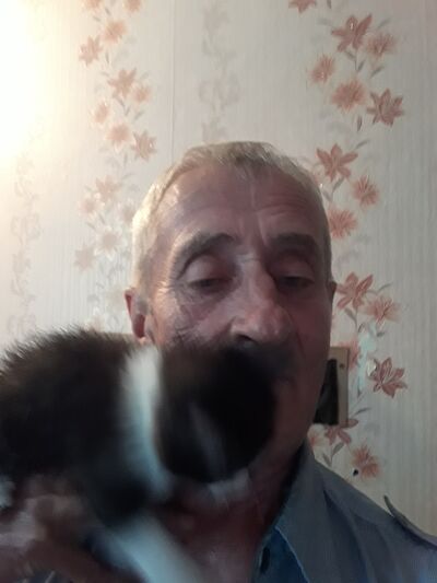  ,   , 71 ,   ,   