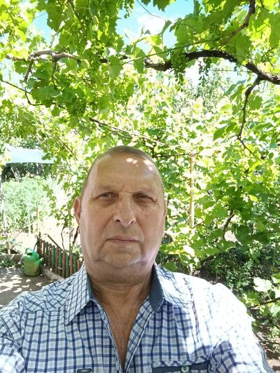  ,   , 67 ,   ,   