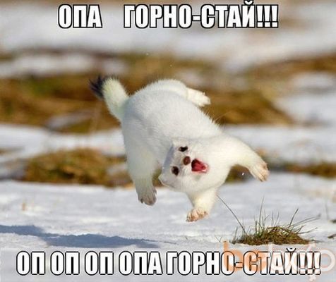  ,   , 55 ,   ,   , c , 