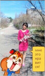 ���������� ������, ���� ������� �����, 56 ���, ������������ ��� ������, ����� � ���������, c�������� ���������