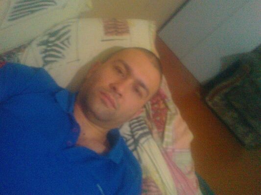  ,   Timur, 41 ,   ,   , c 