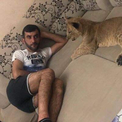  ,   Soltan, 40 ,   ,   , c 