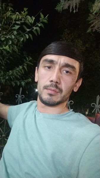  ,   Sardor, 33 ,   ,   