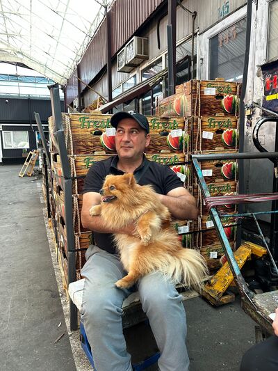  ,   Imran, 52 ,   c 