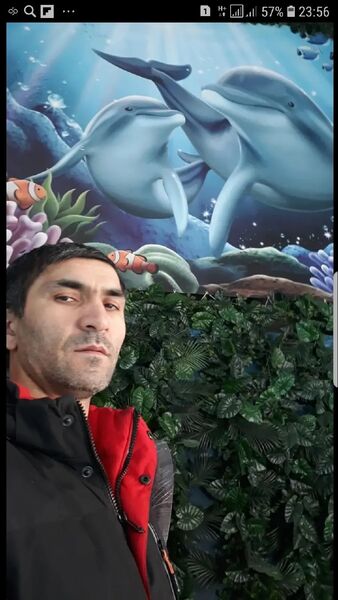  ,   , 41 ,   ,   