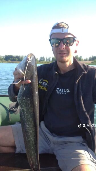  ,   Vik, 36 ,   ,   , c 