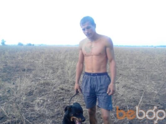 ���������� ������, ���� ������� �������, 38 ���, ������������ 