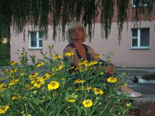  ,   , 63 ,   c 