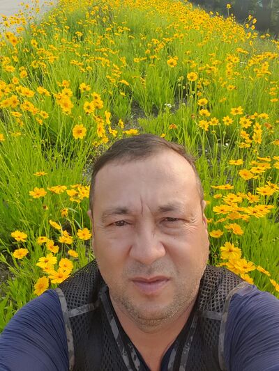  ,   , 53 ,   ,   