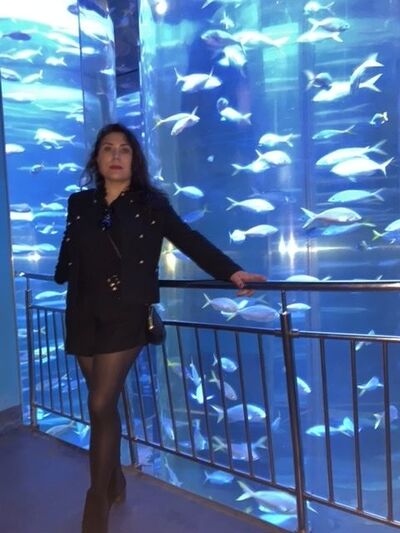  ,   , 43 ,   