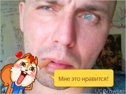  7254435  , 31 ,    