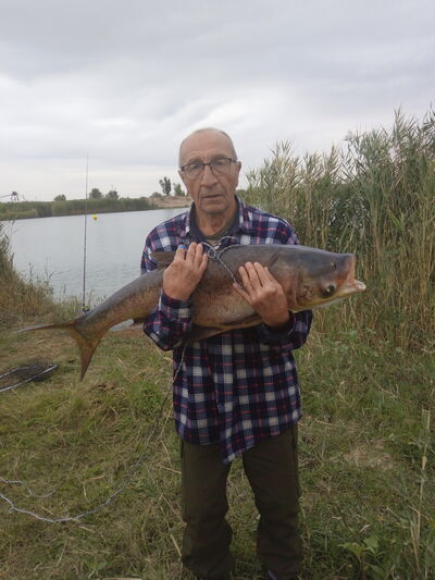  ,   , 72 ,   , c 