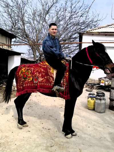  ,   Nnnnnnn, 33 ,   ,   , c , 