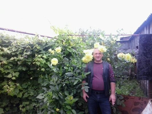 ,   Oieq, 59 ,     , c 
