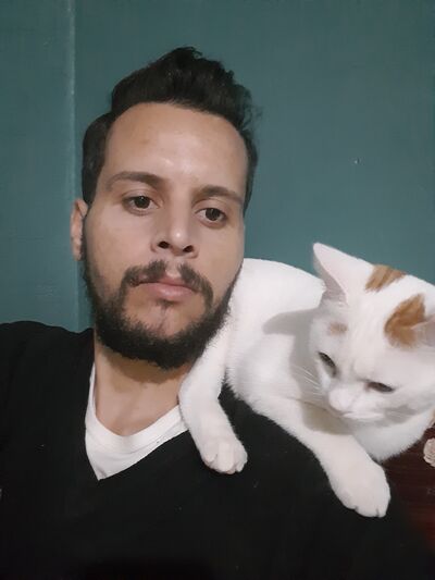  ,   , 34 ,   ,   