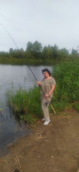  ,   , 55 ,   ,   
