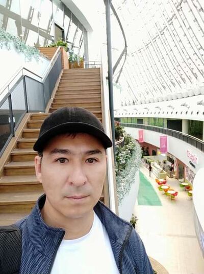  ,   Archi, 41 ,   ,   
