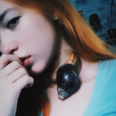  ,   , 24 ,  