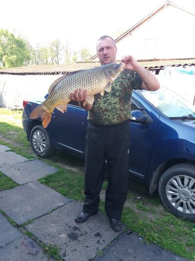  ,   , 46 ,  