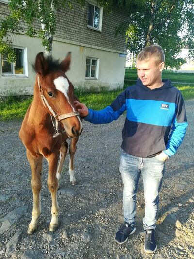  ,   , 32 ,   ,   , c , 