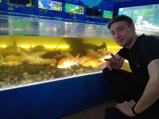  ,   Ilyas, 26 ,  
