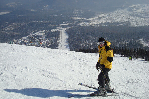  ,   Ant, 37 ,   