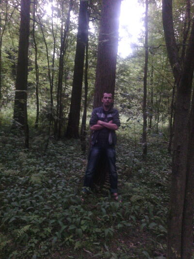  ,   , 41 ,   