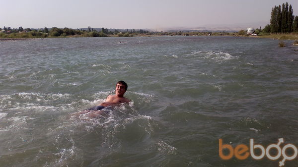  3610085  Zorro02, 37 ,    