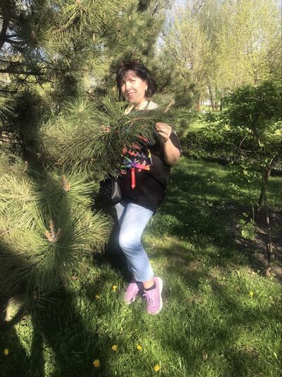  ,   , 53 ,     , c 