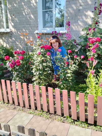  ,   , 62 ,   ,   , c 