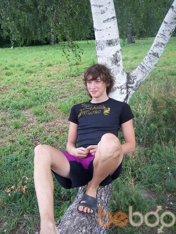  ,   Dinis, 31 ,     , c 