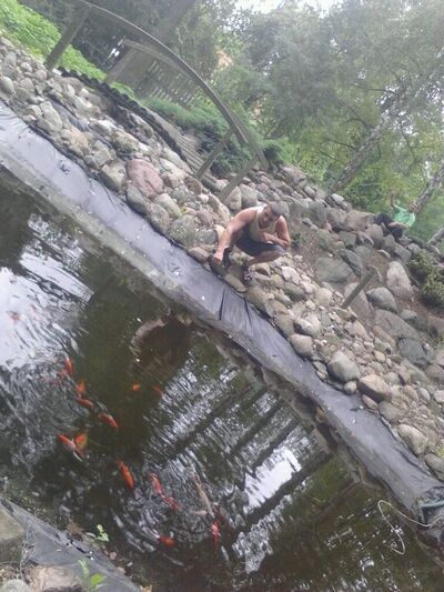  ,   Vasea, 37 ,   ,   