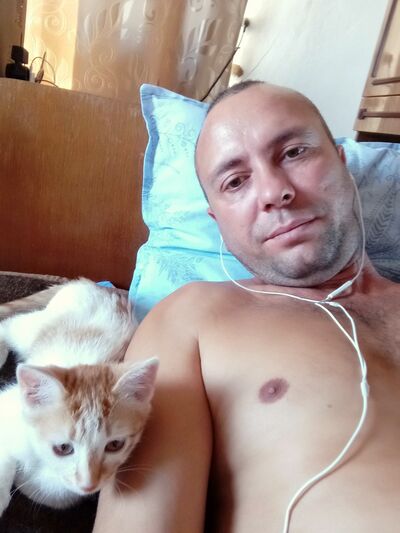 ,   , 46 ,   
