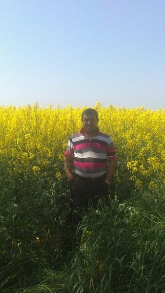  --,   , 52 ,     , c , 