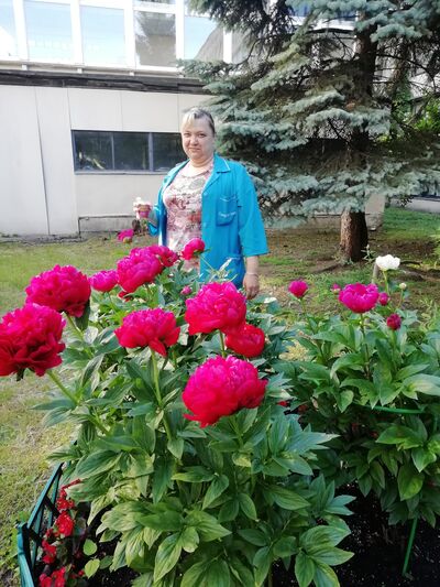  -,   , 48 ,   ,   