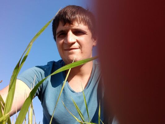  ,   , 34 ,     , c , 