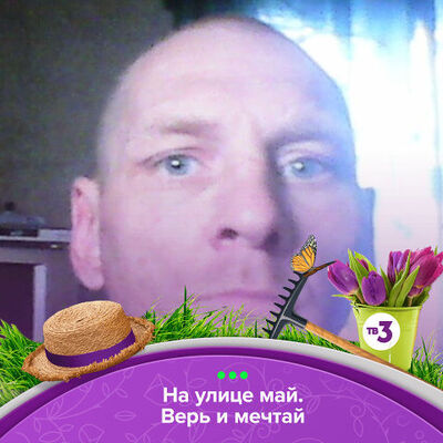  -,   , 41 ,     , c , 