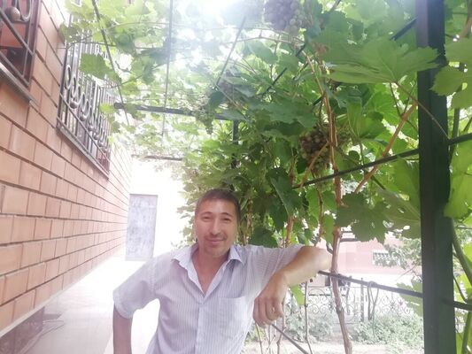  ,   Saken, 48 ,   ,   , c 