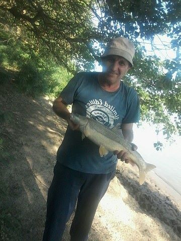  ,   , 53 ,   