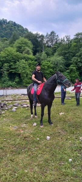  Ardino,   Abdurasul, 29 ,   ,   , c , 