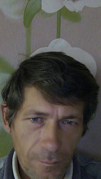 ,   , 53 ,   