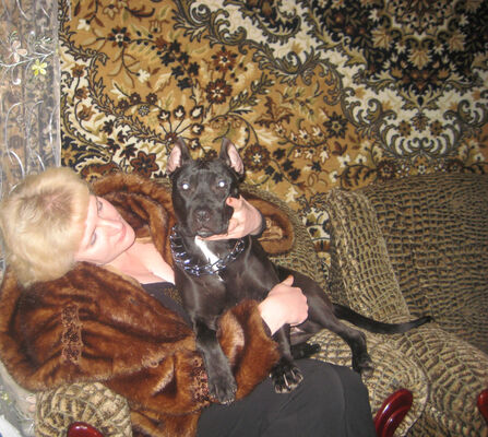  ,   , 53 ,   ,   , c 