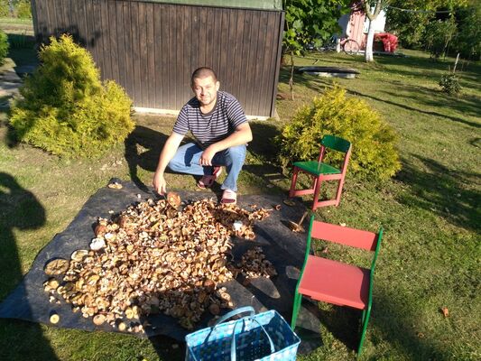  ,   IGAROKS, 41 ,   