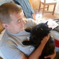 ���������� ������ ��������, ���� ������� �������, 41 ���, ������������ ��� ������, ����� � ���������, c�������� ���������