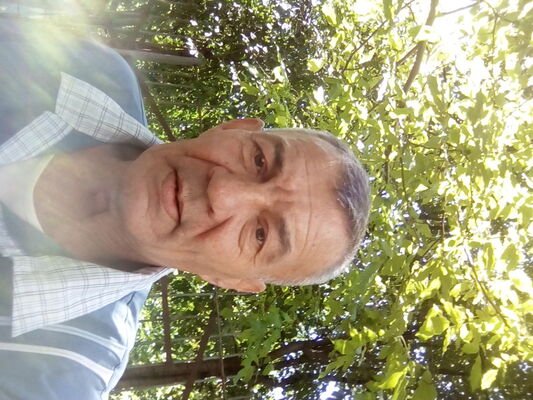  ,   , 62 ,   ,   