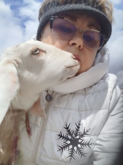  ,   , 56 ,   , c , 