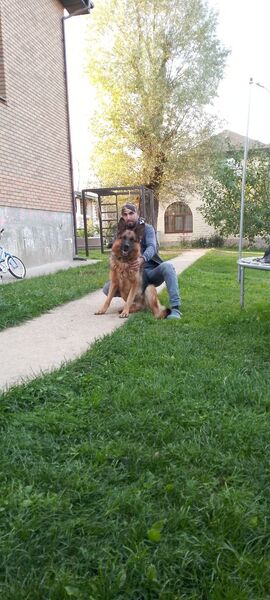  ,    , 39 ,   ,   , c , 