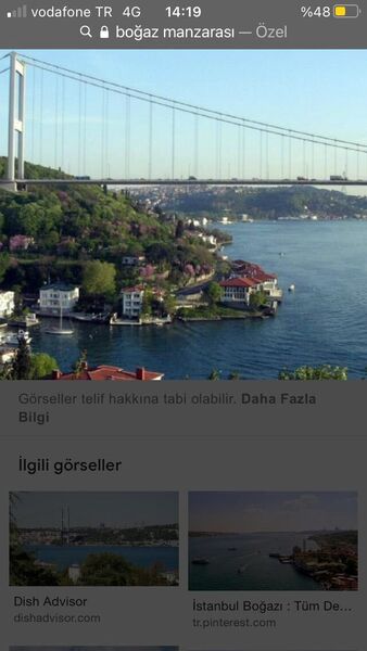  ,   Mustafa, 43 ,   ,   