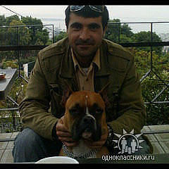 ,   ARMEN, 50 ,   ,   , c 