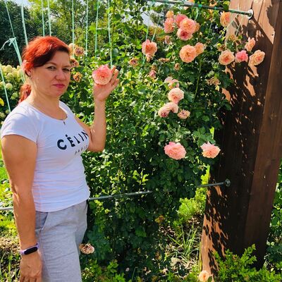 ,   , 48 ,   ,   , 